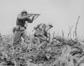 world wars
